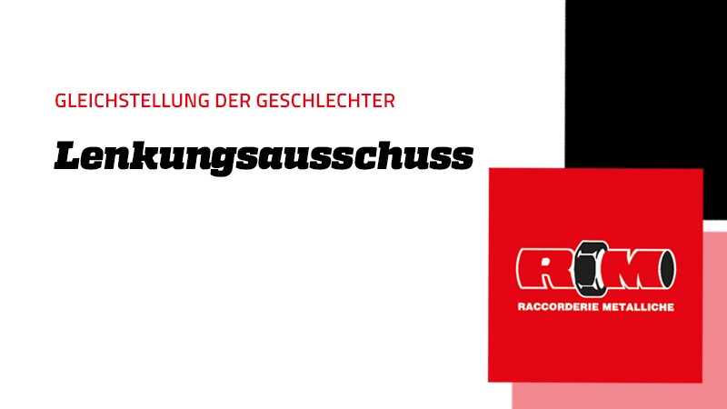 Lenkungsausschuss