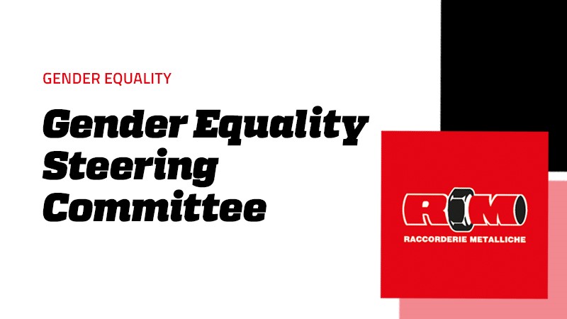 Gender Equality Steering Committee