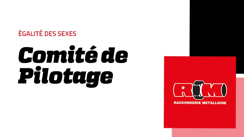 Comité de Pilotage