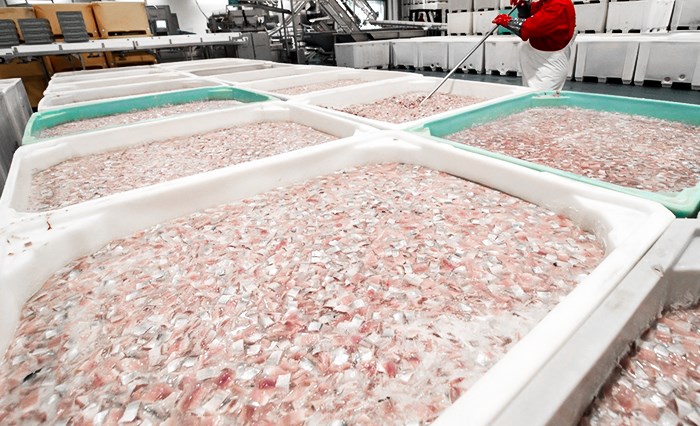 A process water plant at a Norwegian fish farm